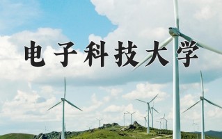 2025年电子科技大学在四川计划招生人数（附学费及专业录取分)