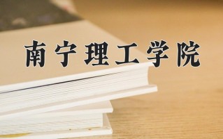 2025年南宁理工学院在四川计划招生人数（附学费及专业录取分)