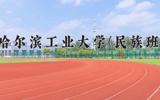 2025年哈尔滨工业大学(民族班)在重庆计划招生人数（附学费及专业录取分)
