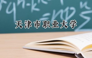 天津市职业大学2024在青海录取分数线是多少？最低315分/最高378分