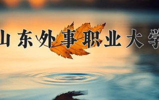2025年山东外事职业大学在新疆计划招生人数（附学费及专业录取分)