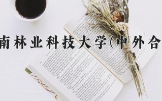 2025年中南林业科技大学(中外合作)在重庆计划招生人数（附学费及专业录取分)