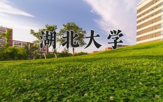 2025年湖北大学在四川计划招生人数（附学费及专业录取分)