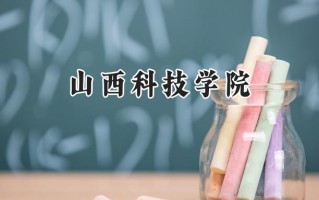2024山西科技学院录取分数线：河南最低493分