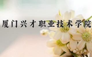2025年厦门兴才职业技术学院在河南计划招生人数（附学费及专业录取分)