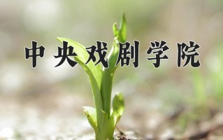 2025年中央戏剧学院在新疆计划招生人数（附学费及专业录取分)