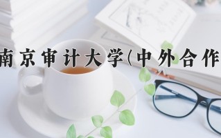 2025年南京审计大学(中外合作)在重庆计划招生人数（附学费及专业录取分)