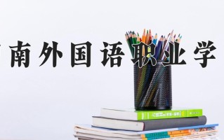 2025年湖南外国语职业学院在河南计划招生人数（附学费及专业录取分)