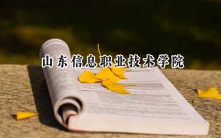山东信息职业技术学院2024在江苏录取分数线是多少？最低445分/最高463分