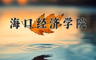 2025年海口经济学院在四川计划招生人数（附学费及专业录取分)