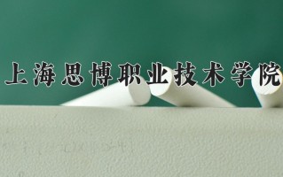 2025年上海思博职业技术学院在河南计划招生人数（附学费及专业录取分)