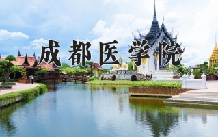 2025年成都医学院在四川计划招生人数（附学费及专业录取分)