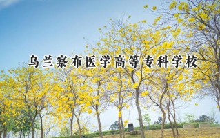 乌兰察布医学高等专科学校2024在内蒙古录取分数线是多少？最低282分/最高369分