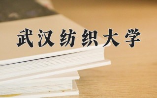 2025年武汉纺织大学在新疆计划招生人数（附学费及专业录取分)