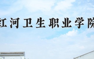 2025年红河卫生职业学院在四川计划招生人数（附学费及专业录取分)
