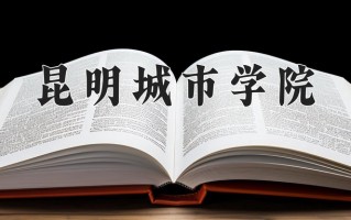 2025年昆明城市学院在河南计划招生人数（附学费及专业录取分)