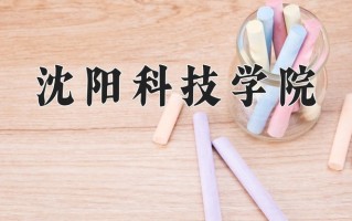 2025年沈阳科技学院在河南计划招生人数（附学费及专业录取分)