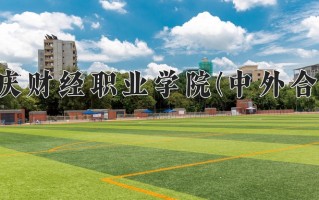 2025年重庆财经职业学院(中外合作)在重庆计划招生人数（附学费及专业录取分)