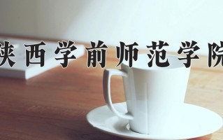 2025年陕西学前师范学院在四川计划招生人数（附学费及专业录取分)