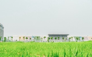 2024年广西交通职业技术学院在广东计划招生人数（附学费及专业录取分）