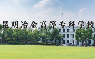 2025年昆明冶金高等专科学校在河南计划招生人数（附学费及专业录取分)