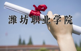 2025年潍坊职业学院在河南计划招生人数（附学费及专业录取分)