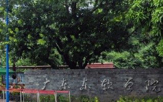 2024年广东东软学院录取分数线，河北最低457分