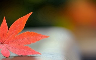 商务英语专业好找工作吗？附2025年商务英语专业就业方向及前景