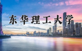 2025年东华理工大学在新疆计划招生人数（附学费及专业录取分)