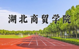 2025年湖北商贸学院在四川计划招生人数（附学费及专业录取分)