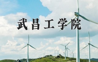 2025年武昌工学院在四川计划招生人数（附学费及专业录取分)