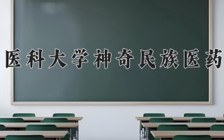 2025年贵州医科大学神奇民族医药学院在四川计划招生人数（附学费及专业录取分)
