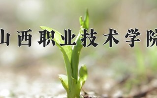 2025年山西职业技术学院在河南计划招生人数（附学费及专业录取分)