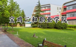 2024宝鸡三和职业学院录取分数线：陕西最低268分