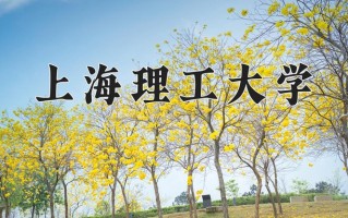 2025年上海理工大学在新疆计划招生人数（附学费及专业录取分)