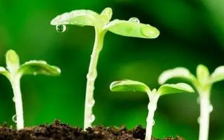 生物工程专业怎么样？主要学些什么，就业前景如何
