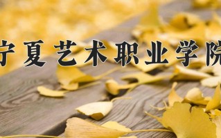 2025年宁夏艺术职业学院在四川计划招生人数（附学费及专业录取分)