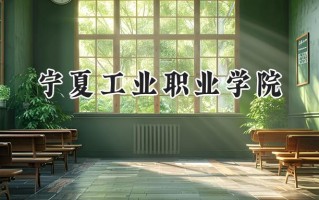 2024宁夏工业职业学院录取分数线：宁夏最低345分