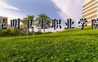 2025年昆明卫生职业学院在四川计划招生人数（附学费及专业录取分)