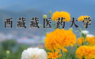 2025年西藏藏医药大学在四川计划招生人数（附学费及专业录取分)