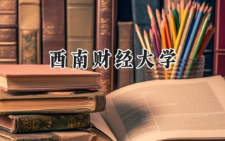 2024西南财经大学录取分数线：宁夏最低497分