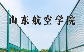2025年山东航空学院在新疆计划招生人数（附学费及专业录取分)