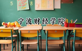 2024宁波财经学院录取分数线：山西最低390分