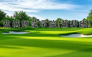 2025年盐城师范学院(预科班)在重庆计划招生人数（附学费及专业录取分)