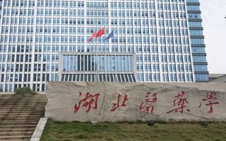 2024年湖北医药学院录取分数线，河北最低513分