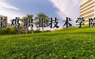 2025年宝鸡职业技术学院在四川计划招生人数（附学费及专业录取分)