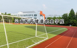 云南医药健康职业学院2024在浙江录取分数线是多少？最低410分/最高574分