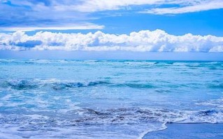 2023年陕西省普通高校招生高职（专科）批次录取征集志愿、8月11日8:00前上网填报