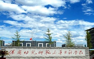 2024年保定幼儿师范高等专科学校录取分数线，河北最低295分