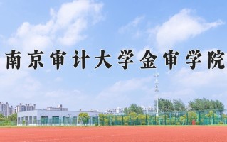 2025年南京审计大学金审学院在新疆计划招生人数（附学费及专业录取分)
